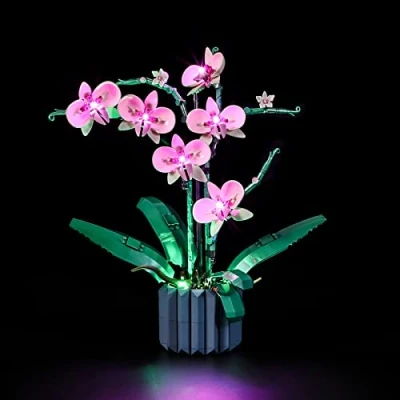 Immagine di LIGHTAILING Kit di Illuminazione a LED per Lego 10311 Orchidee Modello da Costruire Set luci Compatibile con Il (Non includere Lego)