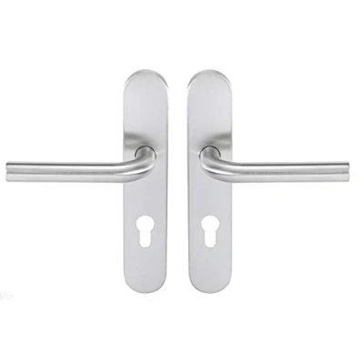 Immagine di Bricard 666458 Set di maniglie in acciaio inox su piastra Tempo Pop per porta d&#039;ingresso (per cilindro europeo)
