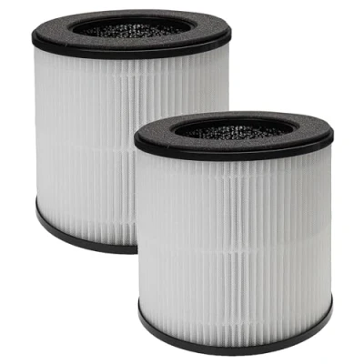Immagine di vhbw 2x filtro aria compatibile con SUPALAK B D02M purificatore d&#039;aria combinato prefiltro + HEPA carbone attivo