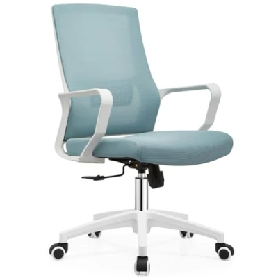 Immagine di Shally Dogan Sedia da Ufficio Ergonomica Girevole con Supporto Lombare, Poltrona Scrivania, Studio, Cameretta, Reclinabile Altezza Regolabile, Base Bianca Robusta, Schienale Antisudore (Blu)