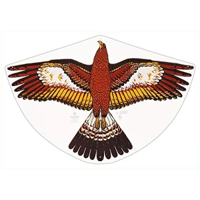 Immagine di Paul Günther 1180 aquilone per bambini con motivo dell&#039;aquila d&#039;oro, a linea singola in robusto foil di PE, partire da 4 anni, dimensioni ca. 92 x 62 cm