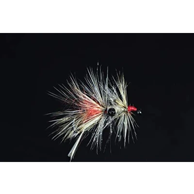 Immagine di Tigofly 12 pz/lotto grizzly gamberetti vaskebjørn Hackled Fly Trota Mosca Pesca Mosche Esche Taglia 2# 4# 6# (assortito)