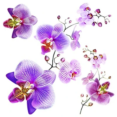 Immagine di Ag Design SS 3859 Wall Sticker Disney Autoadesivo, (Set di 3), Multicolor, 30 x cm