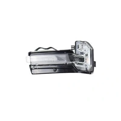 Immagine di VAN WEZEL Indicatore direzione 0374916 specchietto esterno destro