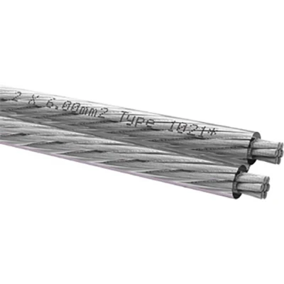 Immagine di Cavo per altoparlanti 2 x 6.0 mm² Trasparente Oehlbach D1C345 4 m