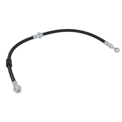 Immagine di DELPHI LH6415 Tubi Freno 655 M10x1 Int SF