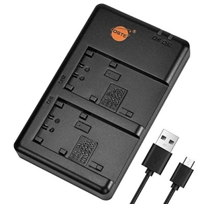 Immagine di DSTE Fast Charging USB Dual Batteria Caricatore Compatibile per Sony NP FP50 FP51 FP70 FP90 FH50 FH100 FV50 FV70 FV100
