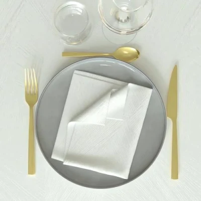 Immagine di Soleil d&#039;ocre Luxury Set di 3 Tovaglioli, Bianco, 45 x cm
