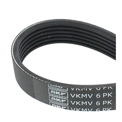 Immagine di SKF VKMV 6PK1520 Cinghia Poly V 1520 6 FORD: Focus C Max, 2 Kombi, 2, VOLKSWAGEN: Lupo / 3L, SKODA: Octavia I Hatchback