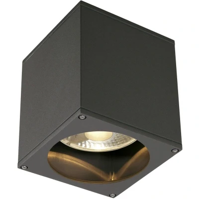 Immagine di SLV 229555 Big Theo Lampada a soffitto per esterni Lampadina Alogena, LED (monocolore) GU10 75 W Antracite