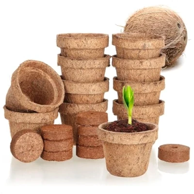 Immagine di COM FOUR® Set per la coltivazione del cocco da 20 pezzi dischi di biodegradabili in un vaso aiuto alla composto 10 linguette gonfiabili e vasi supporto