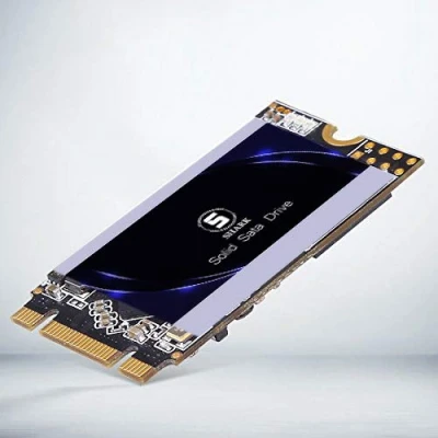 Immagine di Dogfish SSD M.2 2242 1TB Shark Ngff Desktop Computer all&#039;interno Attuatore Solido Ad Alte Prestazioni Unit?Disco Rigido Include 120GB 240GB 250GB 480GB 500GB (1TB, 2242)