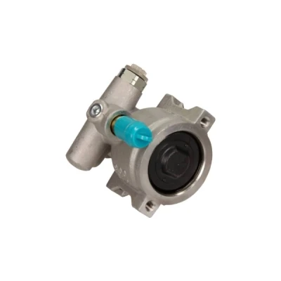 Immagine di MAXGEAR 48 0110 Pompa Idroguida idraulico 80 SEAT: Alhambra I, FORD: Galaxy Mk1 MPV
