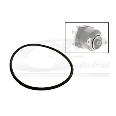 Immagine di 3RG 81091 Guarnizione, Scatola guida