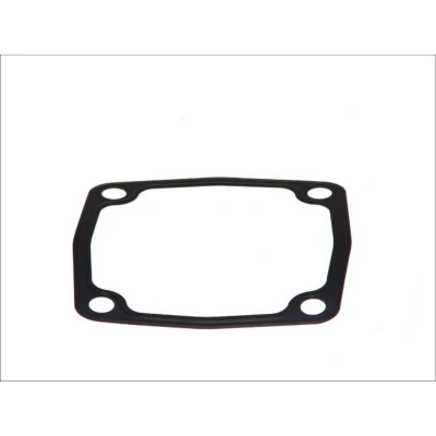 Immagine di Guarnizione, compressore DT Spare Parts 4.20331