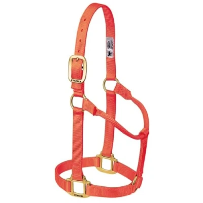 Immagine di Weaver Leather Cavezza per cavallo in nylon, non regolabile, taglia media, arancione