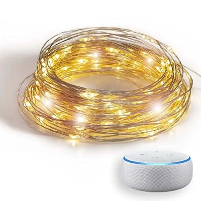 Immagine di GuirLED Ghirlanda luminosa wifi mini LED USB Controllo vocale Amazon Alexa &amp; Google Assistant Adattatore di alimentazione dual 2A incluso 200 20 metri Filamento Silver