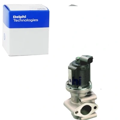 Immagine di Valvola EGR DELPHI EG10259 12B1