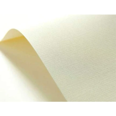 Immagine di Netuno 20x cartoncino goffrato raster avorio formato a5 148x 210 mm 246 g carta speziale goffrata per biglietti da visita invito partecipazione cartoncini embossed texture