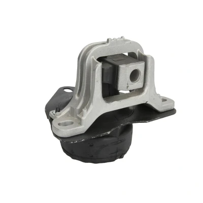 Immagine di REINHOCH RH11 2144 Supporto, Sospensione motore Dx