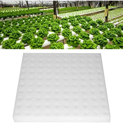 Immagine di Wifehelper Spugna, 100Pcs Semi di Coltura Spugne Coltivazione in Crescita Piantare Attrezzi da Giardinaggio per la Piccoli germogli o Crescere piantine