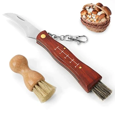 Immagine di GVDV Coltello per Funghi, a Funghi con Spazzola, Micologica Manico in Legno, Spazzola Setola di Cinghiale