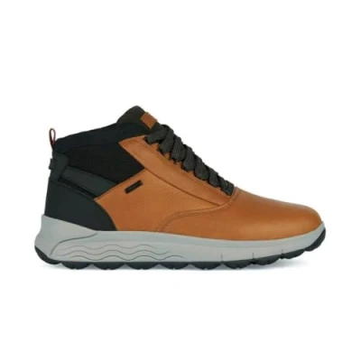 Immagine di Geox U Spherica Sneakers basse, Uomo, Taglia: 42, Ocra Pelle