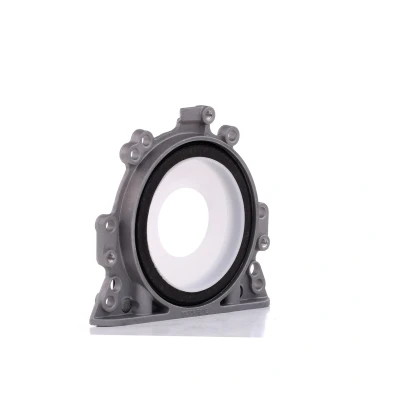 Immagine di REINZ 81 90000 00 Paraolio Albero Motore con ghiera supporto VOLKSWAGEN: TRANSPORTER 4 Bus, GOLF 3, Sharan I, AUDI: A4 B5 Avant, A6 C5 Avant