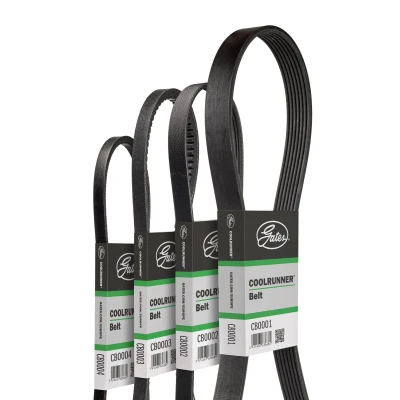 Immagine di Cinghia a V Coolrunner GATES CB0072