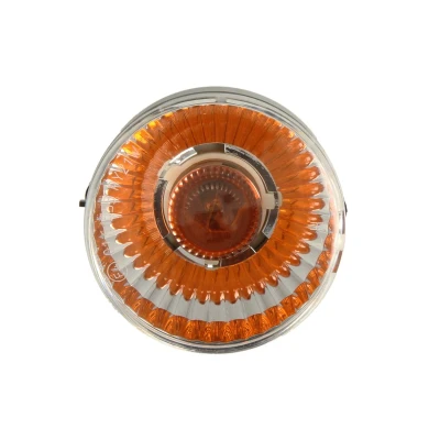 Immagine di DT Spare Parts 2.24565 Frecce anteriore Sx con lampadina PY21W 24
