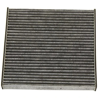 Immagine di Filtro, aria interna MULLER FILTER FC290