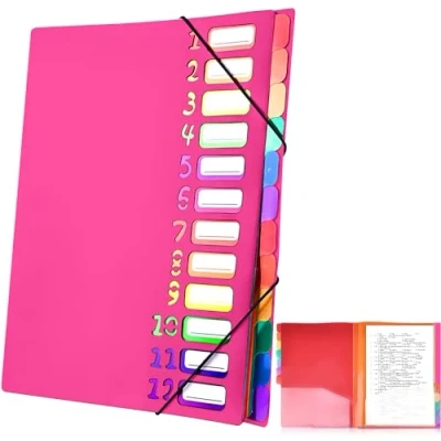 Immagine di Delamiya Cartellina portadocumenti, formato A4, portatile, con 12 scomparti, in plastica PP, elastico, impermeabile, per scuola e ufficio