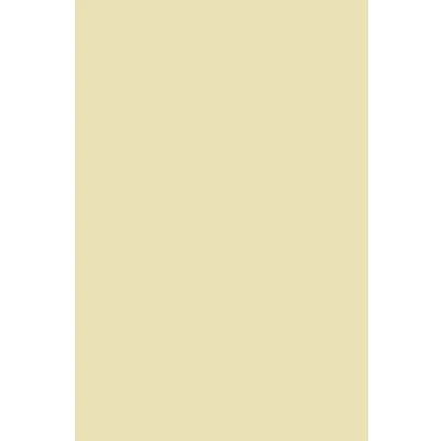 Immagine di Netuno 50x carta liscia avorio formato a4 210 x 297 mm 140g Splendorgel di alta qualità per coordinati grafici etichette buste calendari agende edizioni inserti brossure