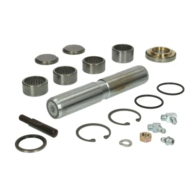 Immagine di FEBI BILSTEIN 09690 Kit riparazione, Perno fuso a snodo