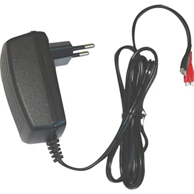 Immagine di DSK 6876 bc 6500 Caricatore da 6 V Per Batteria piombo automatico, Nero