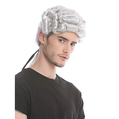Immagine di WIG ME UP DH1126 ZA63A Parrucca Barocca Uomo Nobiluomo Lord Cavaliere Compositore di Corte Poeta Grigio Argento Riccia Lunga Coda