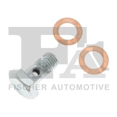 Immagine di FA1 989 10 014.021 Vite cava, Compressore