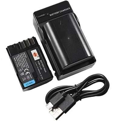Immagine di DSTE D LI90 Batteria agli ioni di litio (2 pezzi) e caricabatterie micro USB compatibili con Pentax K 7 7D 5 645D K5IIS K52 K5II K01 3 Mark III
