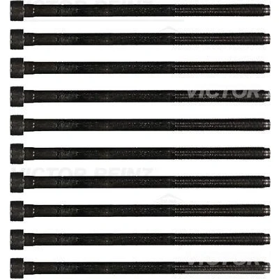 Immagine di REINZ 14 35738 01 Kit Bulloni Testata Scanalature incassate (Ribe CV) FIAT: Punto II Hatchback, Grande Doblo I Station Wagon