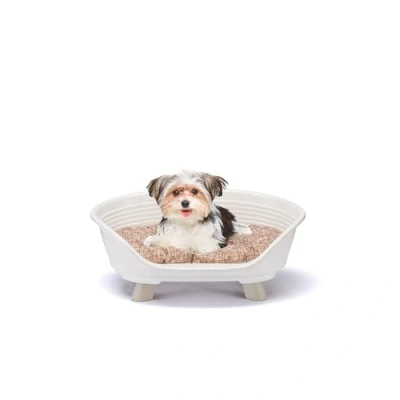 Immagine di Ferplast Cuccia Cane e Gatto con Cuscino in Cotone, Rialzata, Lettino per Cani Gatti da Interno, Traspirante Antiscivolo, THRONE 61,5 x 45 h 26 cm, Bianco