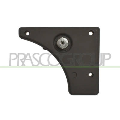 Immagine di PRASCO FT9308312 Maniglia Apriporta interno, posteriore Sx nero FIAT: Ducato III Van, Bus, Camion pianale / Telaio