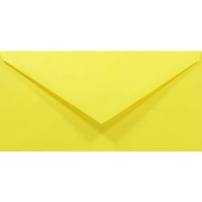 Immagine di Netuno 100 buste da lettera colorate lunghe giallo carta colorata formato DL 110 x 220 mm Rainbow 80g americane con lembo a punta