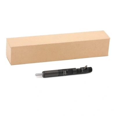Immagine di DELPHI 28232251 Supporto polverizzatore RENAULT: CLIO 3 Kasten