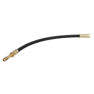 Immagine di ABE C83172ABE Tubi Freno Assale posteriore 304 M10x1 internal