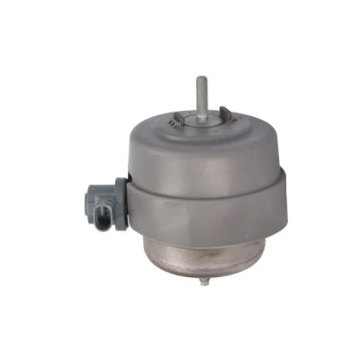 Immagine di Sospensione, Motore REINHOCH RH11 0159