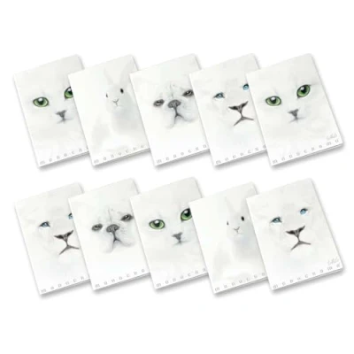 Immagine di PIGNA CF10 MAXIMONOCROMO WHITE 10 A4 100G