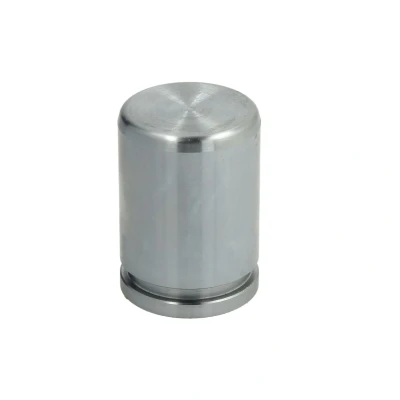 Immagine di AUTOFREN SEINSA D025550 Pistone, Pinza freno 34 Assale posteriore LUCAS