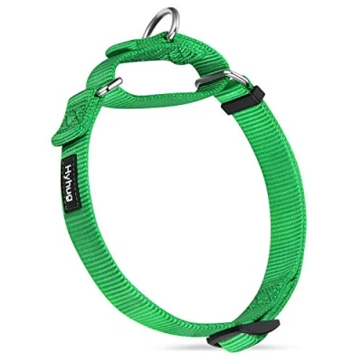 Immagine di Premium aggiornato collare per cani Martingale anti fuga in nylon resistente di taglia piccola e media Allenamento a piedi Uso quotidiano (Piccola S, Verde Lime)