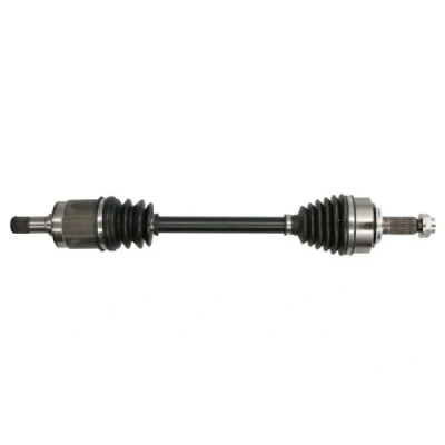 Immagine di Albero motore/Semiasse PASCAL G24018PC