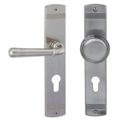 Immagine di porta Sale Alpertec LS in ottone e acciaio inox colori per casa un corridoio porte NP DIN destra pulsante set maniglia guarnizioni, 32704513